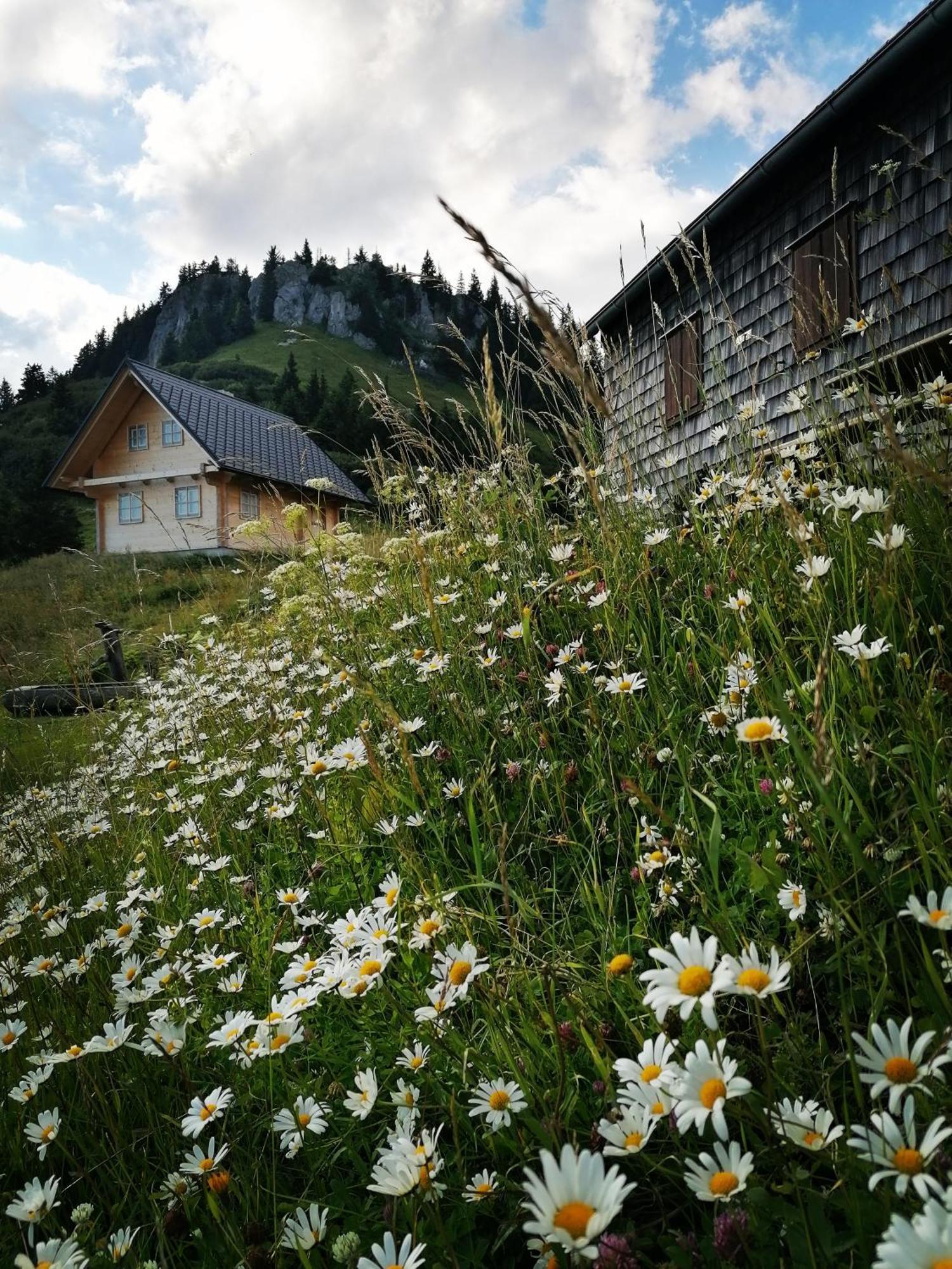 NiederaigenWaldhaus Klein-Veitsch, Auszeit Im Gruenen公寓 外观 照片